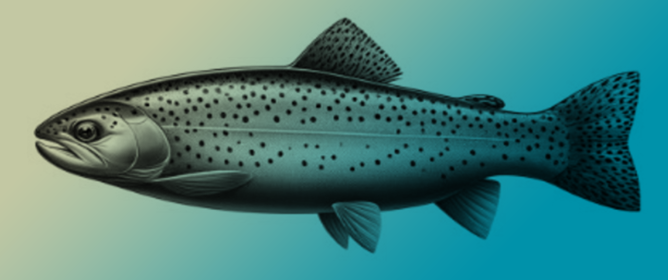 Enhancing Growth and Intestinal Health in Triploid Rainbow Trout Fed a Low-Fish-Meal Diet through Supplementation with Clostridium butyricum