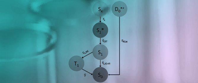 Excited-State Dynamics of Carbazole and <em>tert</em>-Butyl-Carbazole in Organic Solvents