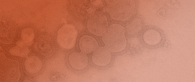 Novel Influenza Virus-Like Particle Vaccines