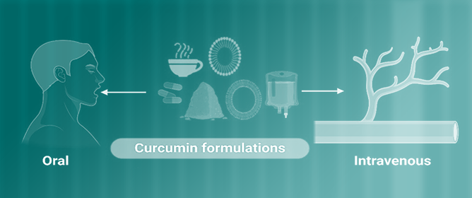 Innovative Delivery Systems for Curcumin: Exploring Nanosized and Conventional Formulations