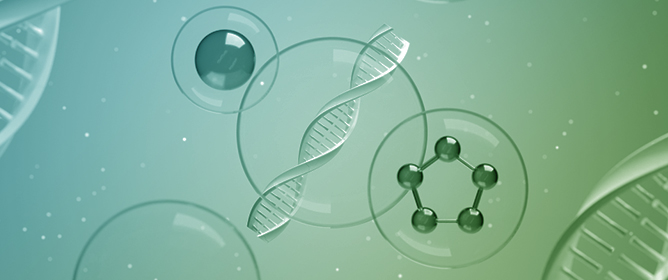 Liposomes as Carriers of Bioactive Compounds in Human Nutrition