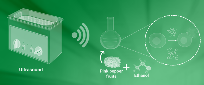 Green Extraction of Oleoresin from Pink Pepper Fruits: Effect of Experimental Conditions and Characterization