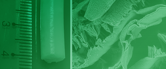 Hydroxyalkyl Amination of Agarose Gels Improves Adsorption of Bisphenol A and Diclofenac from Water: Conceivable Prospects