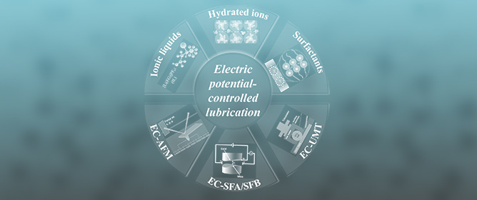 Electric Potential Controlled Ionic Lubrication