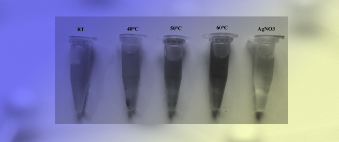 Biofabrication of Silver Nanoparticles by Azadirachta indica Rhizosphere Bacteria with Enhanced Antibacterial Properties