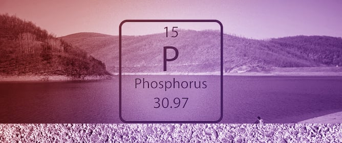 Phosphorus Cycle in Cold-Arid Lakes