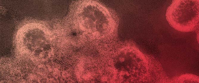 The Expression Levels of <em>TREX1</em> and IFN-&alpha; Are Associated with Immune Reconstitution in HIV-1-Infected Individuals