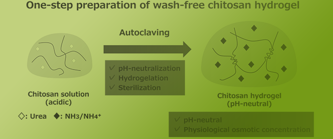 Autoclaving Achieves pH-Neutralization, Hydrogelation, and Sterilization of Chitosan Hydrogels in One Step