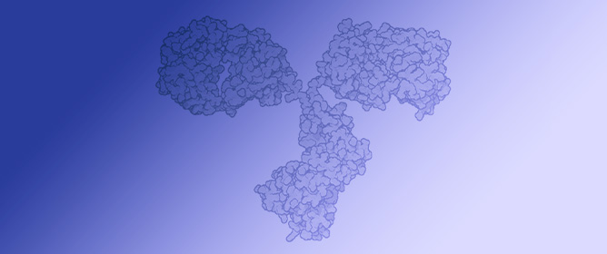 Simple Determination of Affinity Constants of Antibodies