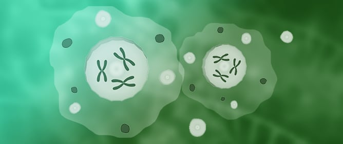 Quantification of Complement Proteins Associated with Extracellular Vesicles