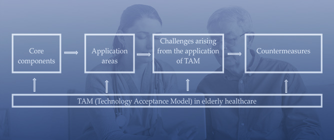 Application and Challenges of the Technology Acceptance Model in Elderly Healthcare: Insights from ChatGPT