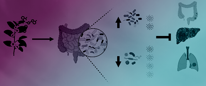 Modulation of Gut Microbial Biomarkers and Metabolites in Cancer Management by Tea Compounds