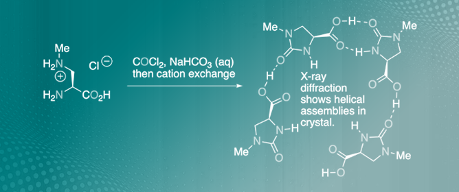 (<em>S</em>)-1-Methyl-2-oxoimidazolidine-4-carboxylic Acid