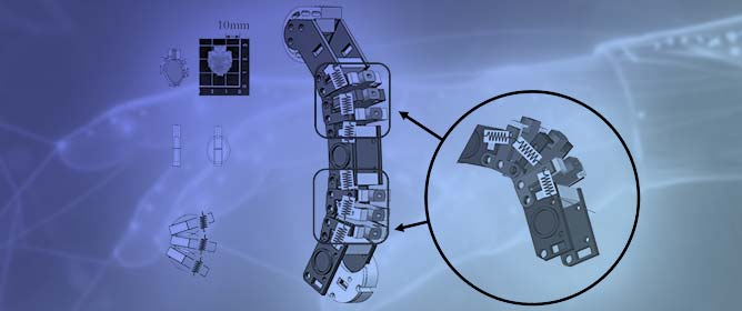 Adaptive Anthropomorphic Finger with Modular Soft Actuators for Precise Kinematic Control