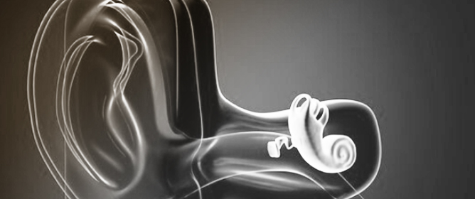 Training a Filter-Based Model of the Cochlea in the Context of Pre-Trained Acoustic Models