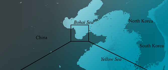 Exploring Seasonal Variations in Fish Communities: A Study of the Yellow River Estuary and Its Adjacent Waters Using eDNA and Trawl Surveys