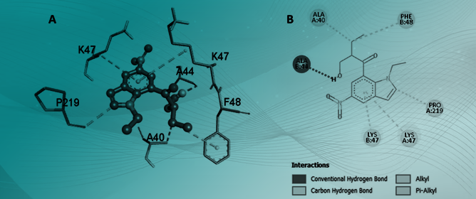 Synthesis, Characterization, and Docking Study of a Novel Indole Derivative Containing a Tosyl Moiety as Anti-Oxidant Agent