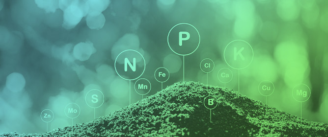 Pb Pollution Stress in <em>Alnus cremastogyne</em> Monitored by Antioxidant Enzymes