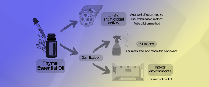 Eco-Friendly Sanitization of Indoor Environments: Effectiveness of Thyme Essential Oil in Controlling Bioaerosol Levels and Disinfecting Surfaces