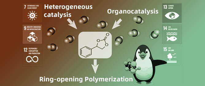 Investigation and Comparison of Catalytic Methods to Produce Green CO<sub>2</sub>-Containing Monomers for Polycarbonates