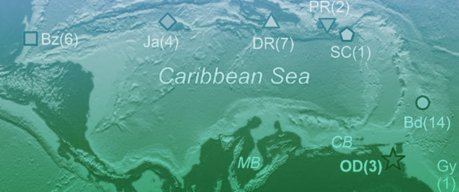 The Oldest Holocene Caribbean Mangroves and Postglacial Sea Level Rise: Biogeographical Implications