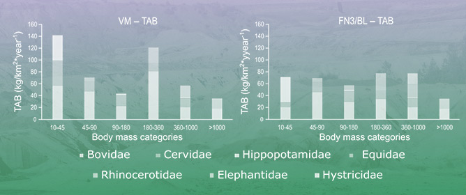 Carrying Capacity, Available Meat and the Fossil Record of the Orce Sites (Baza Basin, Spain)