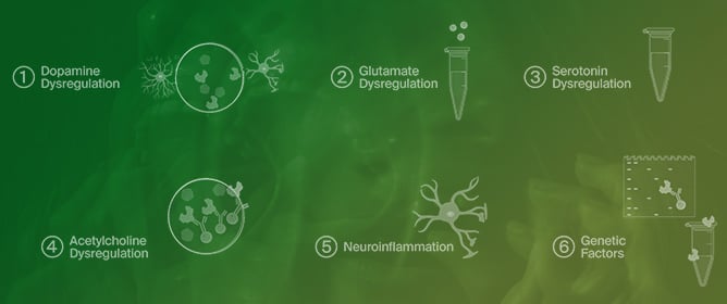 What Remains to Be Discovered in Schizophrenia Therapeutics: Contributions by Advancing the Molecular Mechanisms of Drugs for Psychosis and Schizophrenia