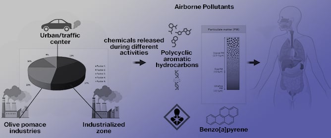 Source Profile Analysis, Source Apportionment, and Potential Health Risk of Ambient Particle-Bound Polycyclic Aromatic Hydrocarbons in Areas of Specific Interest