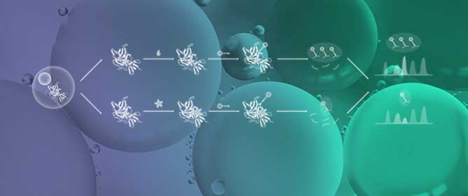 Chemical Proteomics Driven Therapeutic Target Identification