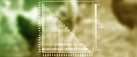 Understanding the Genetic Variation and Structure of the Rustipollos Chicken Synthetic Population Locally Adapted to Paraguay: Opportunities for a Sustainable Chicken Productivity