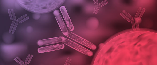 Interference of Monoclonal Antibody Therapy in Transfusion: An Update