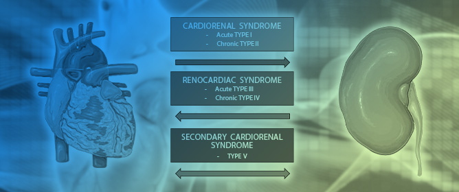 The Need to Identify Novel Markers for Early Renal Injury in Cardiorenal Syndrome