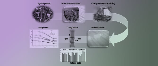 Fatigue Behaviour of High-Performance Green Epoxy Biocomposite Laminates Reinforced by Optimized Long Sisal Fibers