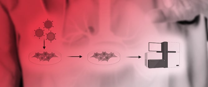 Enhanced Lung Cancer Therapy via Co-Encapsulation of Docetaxel and Betulinic Acid