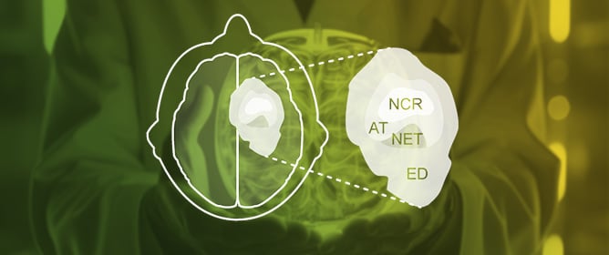 Repurposing the Public BraTS Dataset for Postoperative Brain Tumour Treatment Response Monitoring