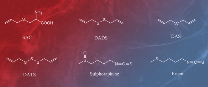 Review of Hydrogen Sulfide Based on Its Activity Mechanism and Fluorescence Sensing