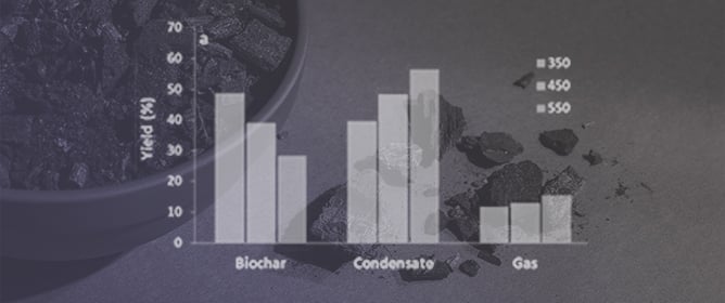 New Frontiers for Raw Wooden Residues, Biochar Production as a Resource for Environmental Challenges