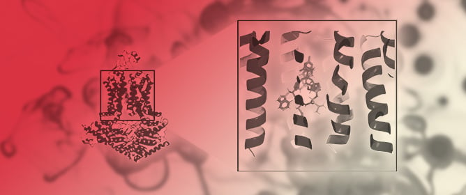 Design of Cyclodepsipeptides Targeting <em>Candida albicans</em> Efflux Pump CaCdr1p