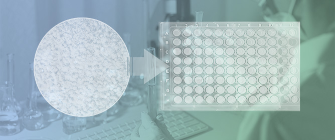 <em>Salmonella</em> Detection in Food Using a HEK-hTLR5 Reporter Cell-Based Sensor