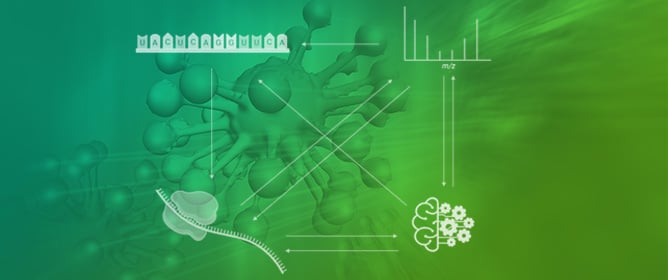 Multi-Omic Approaches in Cancer-Related Micropeptide Identification