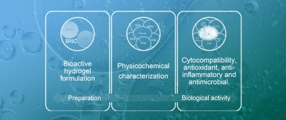 Bioactive Hydrogel Formulation Based on Ferulic Acid-Grafted Nano-Chitosan and Bacterial Nanocellulose Enriched with Selenium Nanoparticles from Kombucha Fermentation