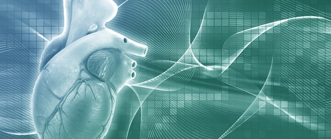 Rethinking Mitral Annular Calcification and Its Clinical Significance: From Passive Process to Active Pathology