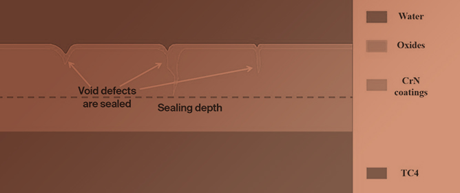 The Improvement of CrN Coatings Wear Resistance by Adjusting the Cycle Number of Electrochemical