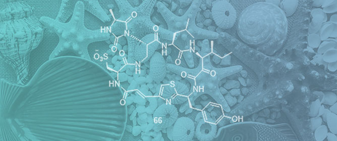 Cheminformatics-Guided Exploration of Synthetic Marine Indole-3-Glyoxylamides and Their Potentials for Drug Discovery