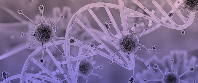 The Latest Look at PDT and Immune Checkpoints