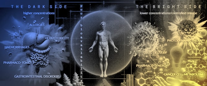 The Bright Side of Curcumin: A Narrative Review of Its Therapeutic Potential in Cancer Management