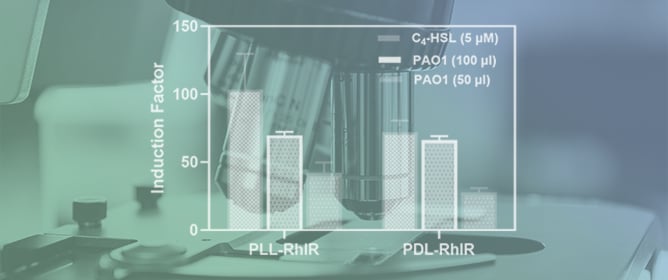 Microbead-Encapsulated Luminescent Bioreporter Screening of <em>P. aeruginosa</em> via Its Secreted Quorum-Sensing Molecules