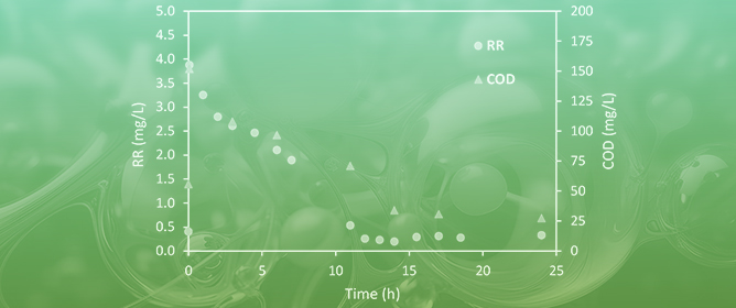 The Ultimate Fate of Reactive Dyes Absorbed onto Polymer Beads: Feasibility and Optimization of Sorbent Bio-Regeneration under Alternated Anaerobic&ndash;Aerobic Phases