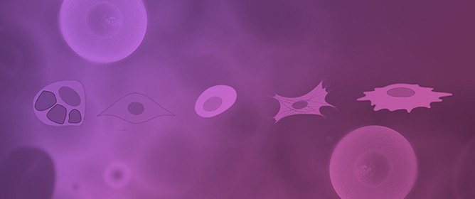 The Myofibroblast Fate of Therapeutic Mesenchymal Stromal Cells: Regeneration, Repair, or Despair?