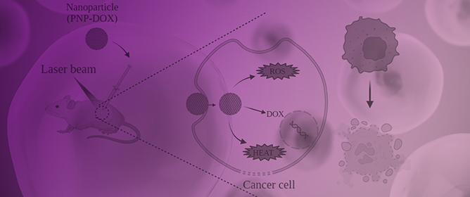 Nanomedicine in Bladder Cancer Therapy